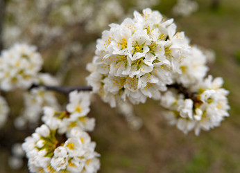 Similar image 22243428