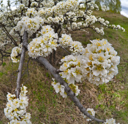 Similar image 22243429