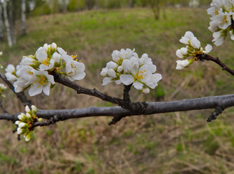 Similar image 22243431