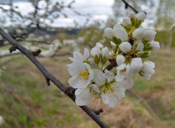 Similar image 22243432