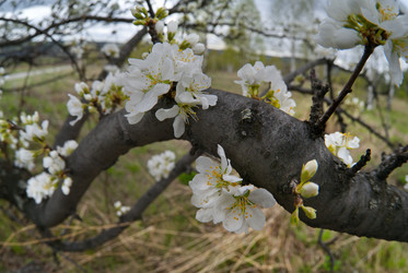 Similar image 22243434