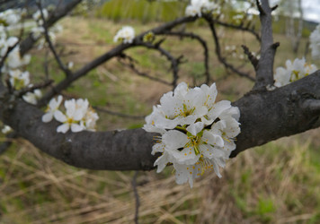 Similar image 22243435