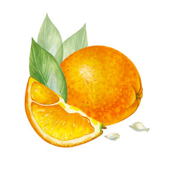 Similar image 22236073