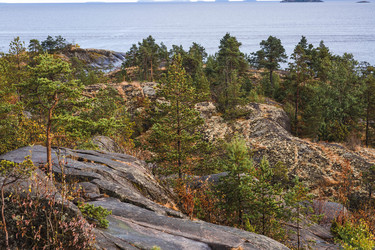 Similar image 22235581