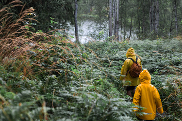 Similar image 22235586