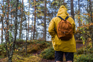 Similar image 22235588