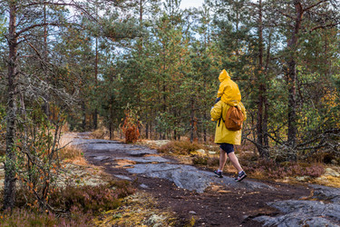 Similar image 22235590