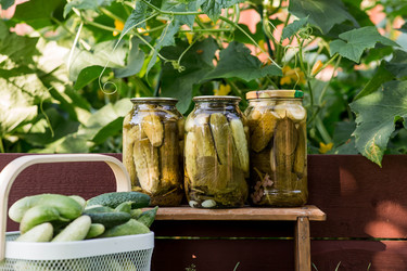 Similar image 22235594