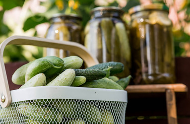 Similar image 22235595