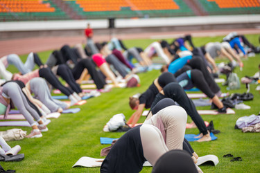 Similar image 22235764