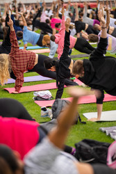 Similar image 22235828