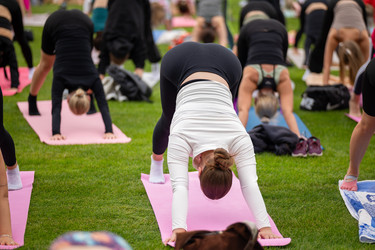 Similar image 22235825