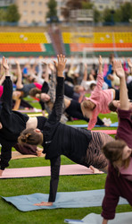 Similar image 22235768