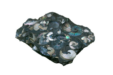 Similar image 22236570