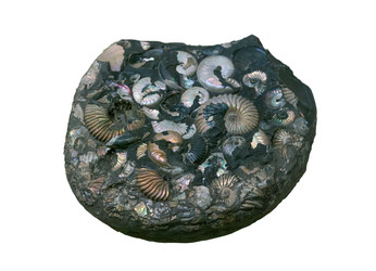 Similar image 22236571