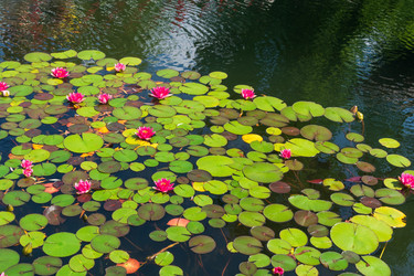 Similar image 22236572