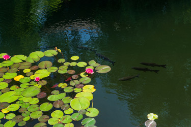 Similar image 22236573