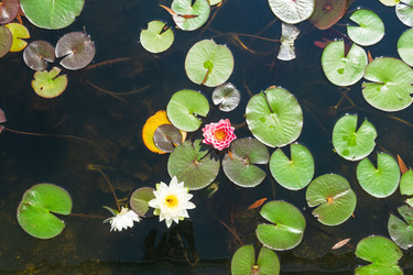 Similar image 22236574