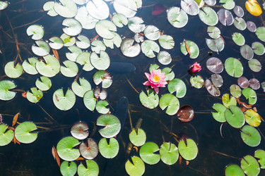 Similar image 22236575