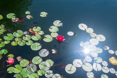 Similar image 22236576