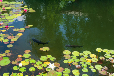 Similar image 22236577