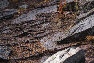 Similar image 22235605