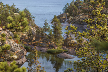 Similar image 22235608