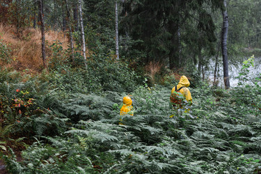 Similar image 22235617