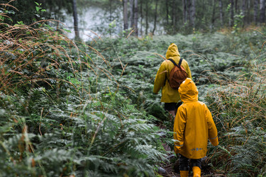 Similar image 22235618