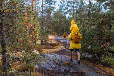 Similar image 22235621