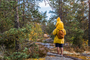 Similar image 22235622