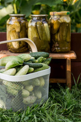 Similar image 22235629