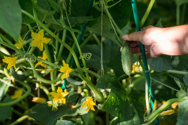 Similar image 22235631