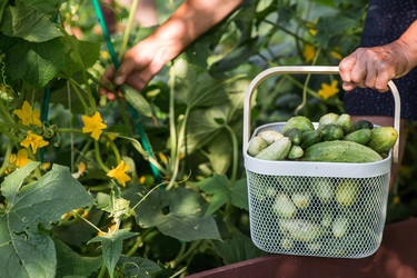 Similar image 22235632