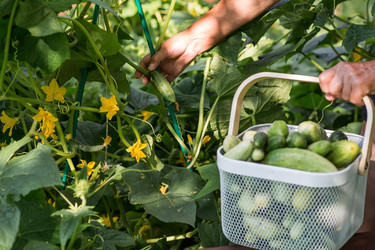 Similar image 22235634