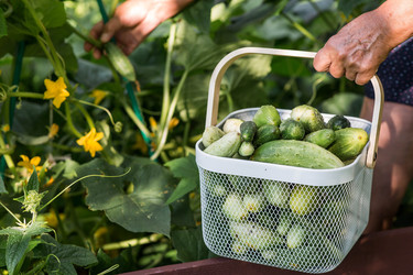 Similar image 22235635