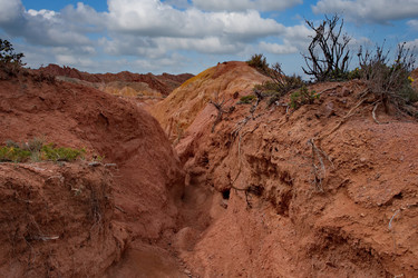 Similar image 22237176