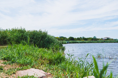 Similar image 22236214