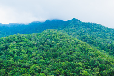 Similar image 22236215