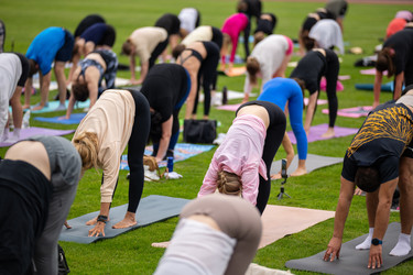 Similar image 22235851