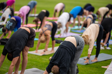 Similar image 22235852