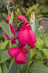 Similar image 22235776