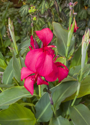 Similar image 22235777