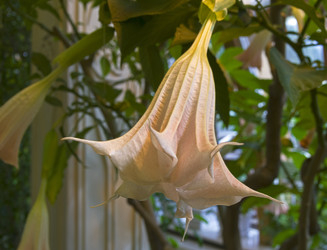 Similar image 22235778