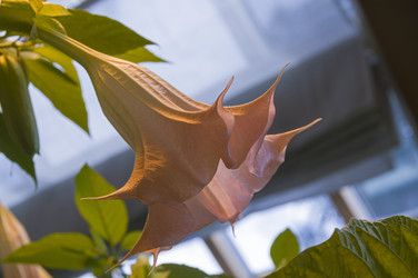 Similar image 22235780