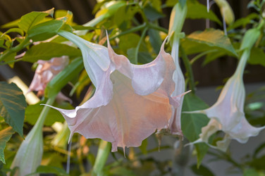 Similar image 22235781