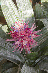 Similar image 22235784