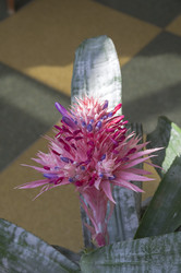 Similar image 22235785