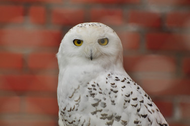 Similar image 22235786