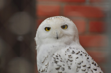 Similar image 22235787